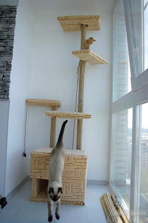 Делаем домик для кота своими руками из разных материалов