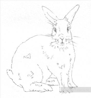 Мастер класс как нарисовать кролика