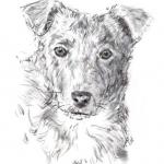Рисование собаки с фотографии, мастер класс