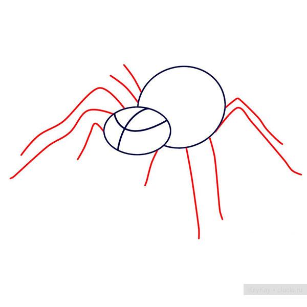 Рисуем паука-птицееда