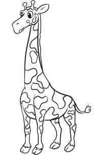 Рисуем жирафа. Пошаговый урок
