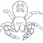 Как нарисовать паука, поэтапное рисование