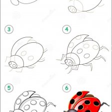 Схемы поэтапного рисования разных насекомых