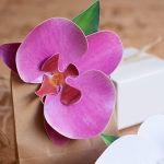 Орхидея - как сделать цветок из бумаги своими руками. Мастер класс, шаблон