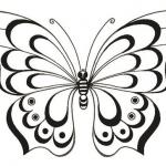 Коллекция бабочек - шаблоны для творчества
