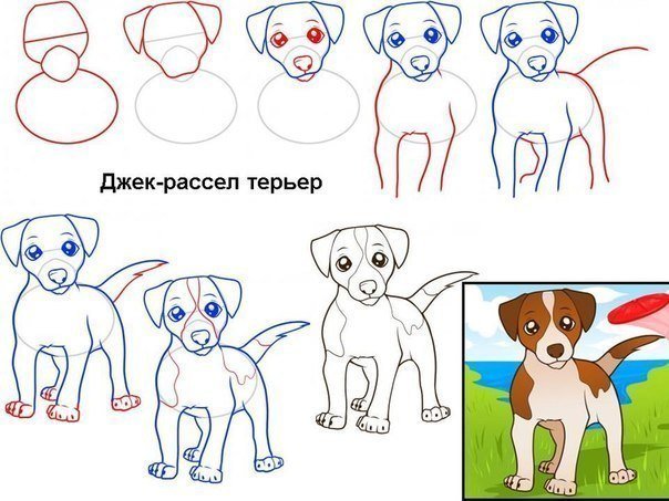 Рисование собаки карандашом