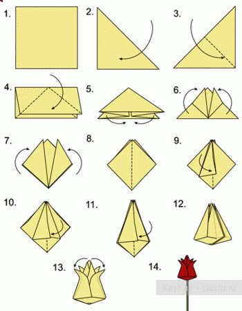 Схема оригами - тюльпан из бумаги