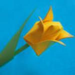Схема оригами - тюльпан из бумаги
