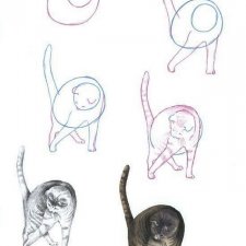 Пошаговое рисование кошек