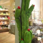 Идея для декора интерьера с кактусами
