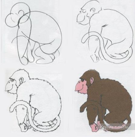 Уроки рисование карандашом - обезьяна
