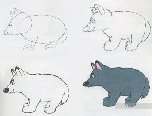 Урок поэтапного рисования животных - рисуем волчонка