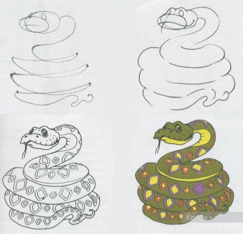 Змея - учимся рисовать карандашом