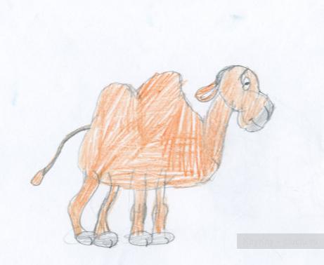 Как нарисовать верблюда карандашом - уроки рисования
