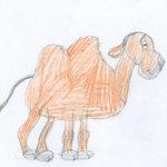 Как нарисовать верблюда карандашом - уроки рисования