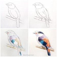 Поэтапное рисование птички