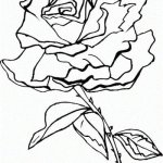 Трафареты роз - картинки для скрапбукинга