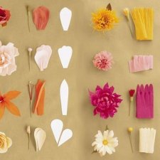 Памятки и трафареты для цветов из бумаги