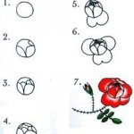 Нарисовать розу - несколько простых способов