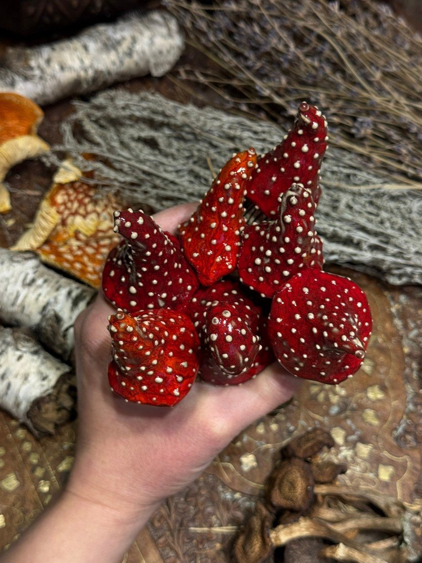 Лесная магия в глине: необычная керамика Марии Шихалевой (фото 3)