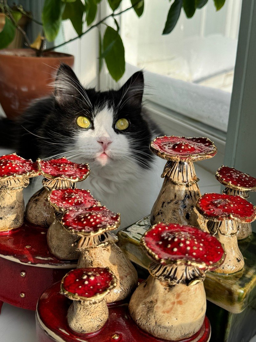 Лесная магия в глине: необычная керамика Марии Шихалевой